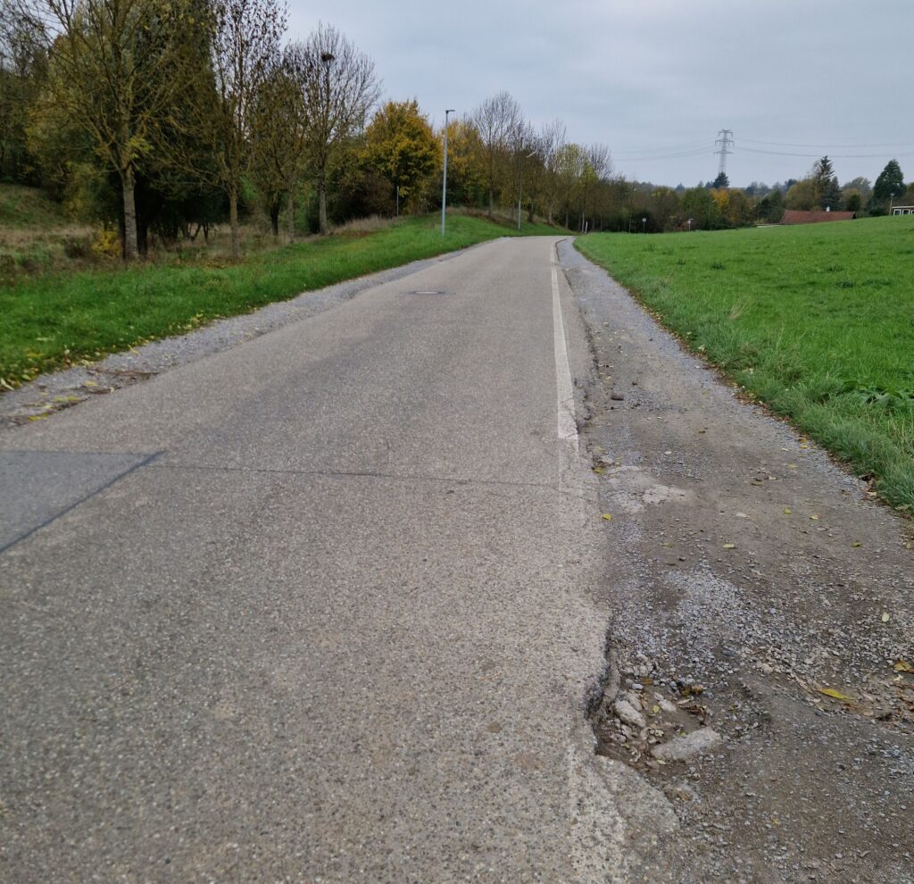 Das Bild zeigt eine Landstraße, die von Bäumen und Wiesen gesäumt wird. Der Asphalt weist einige Schäden auf. Der Himmel ist bewölkt. Das Gesamtbild wirkt ruhig und etwas melancholisch.